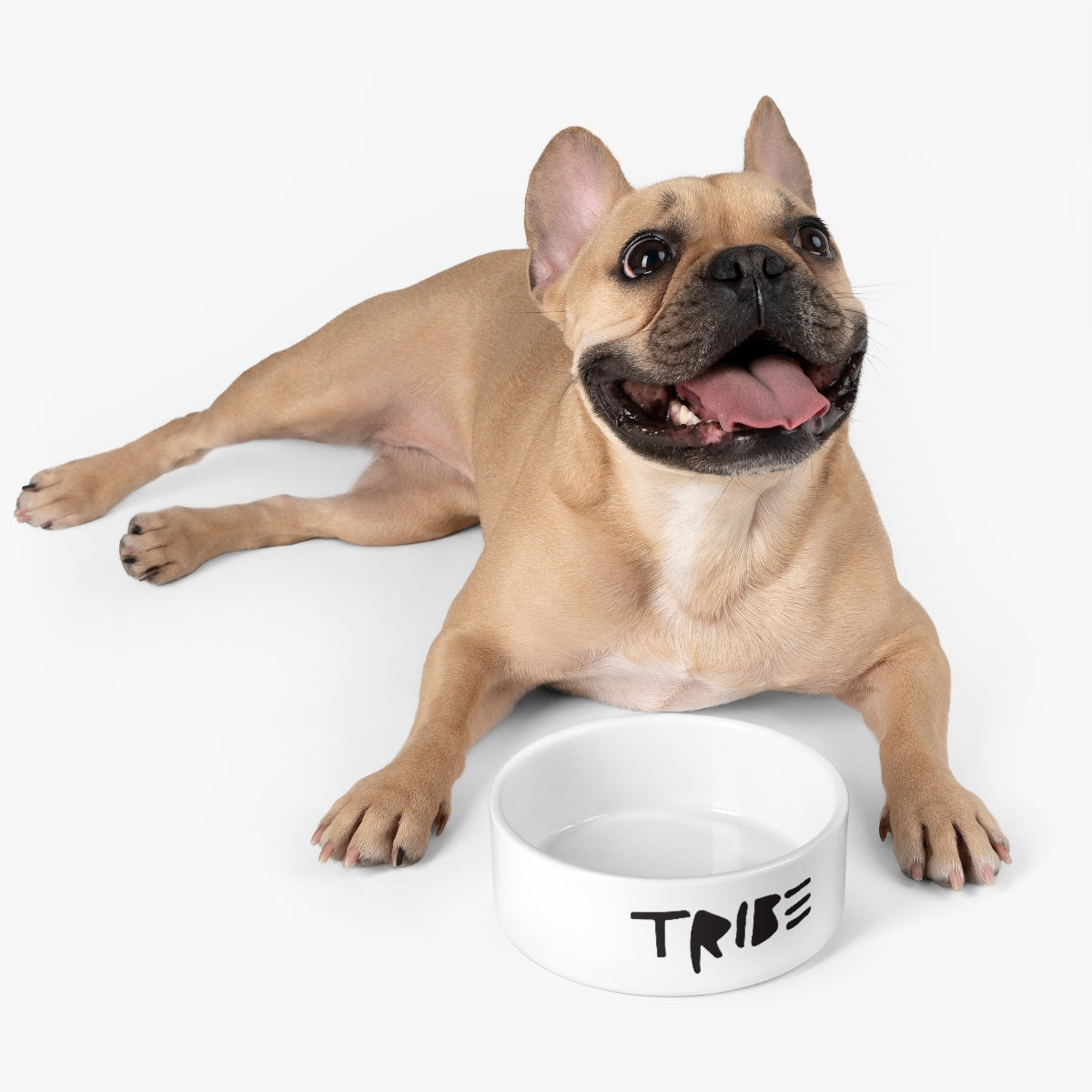 Simple TRIBΞ Pet Bowl. (Black Logo)