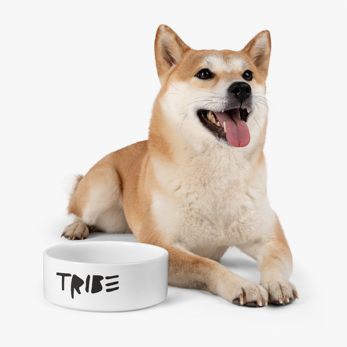 Simple TRIBΞ Pet Bowl. (Black Logo)