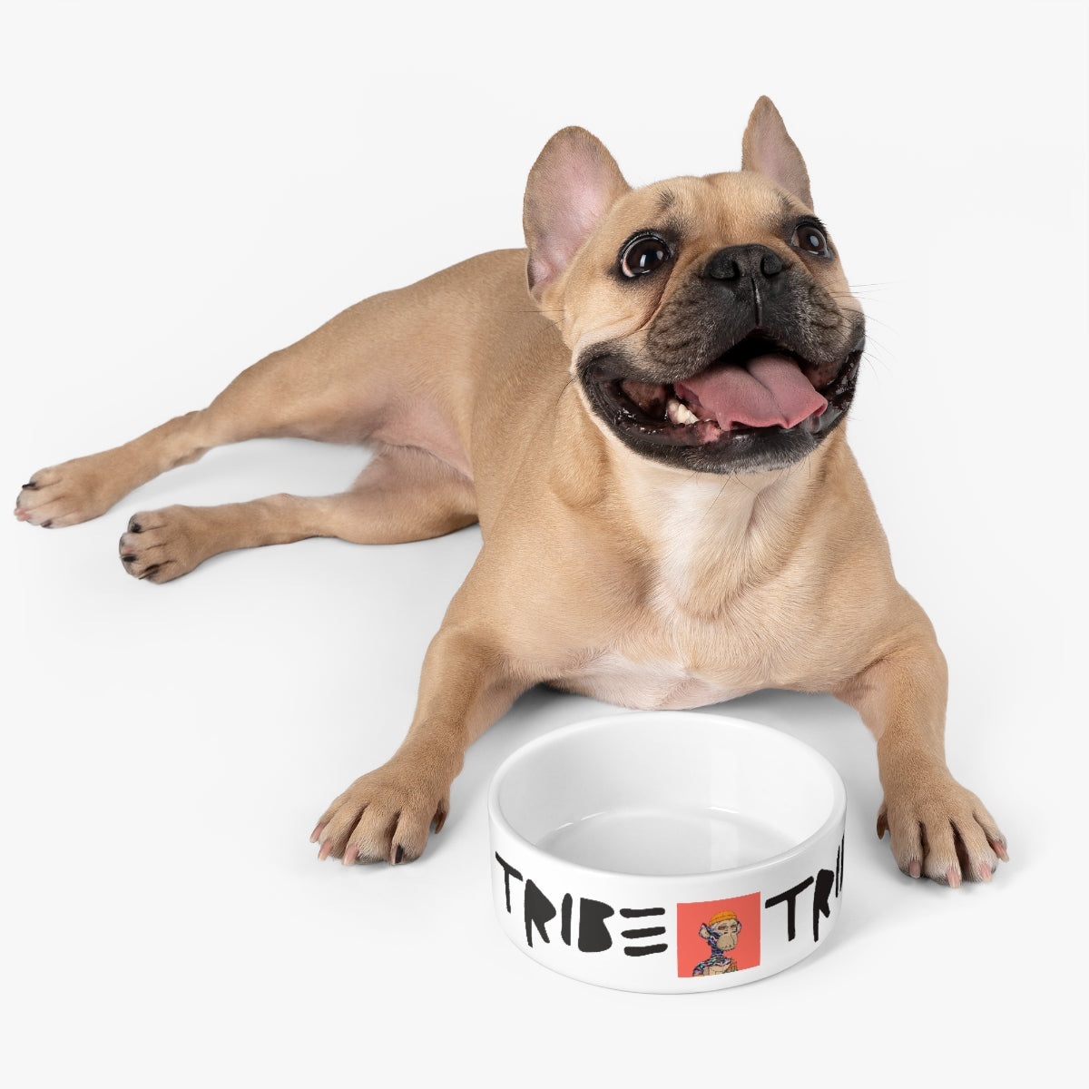 TRIBΞ 1 of 1 Pet Bowl