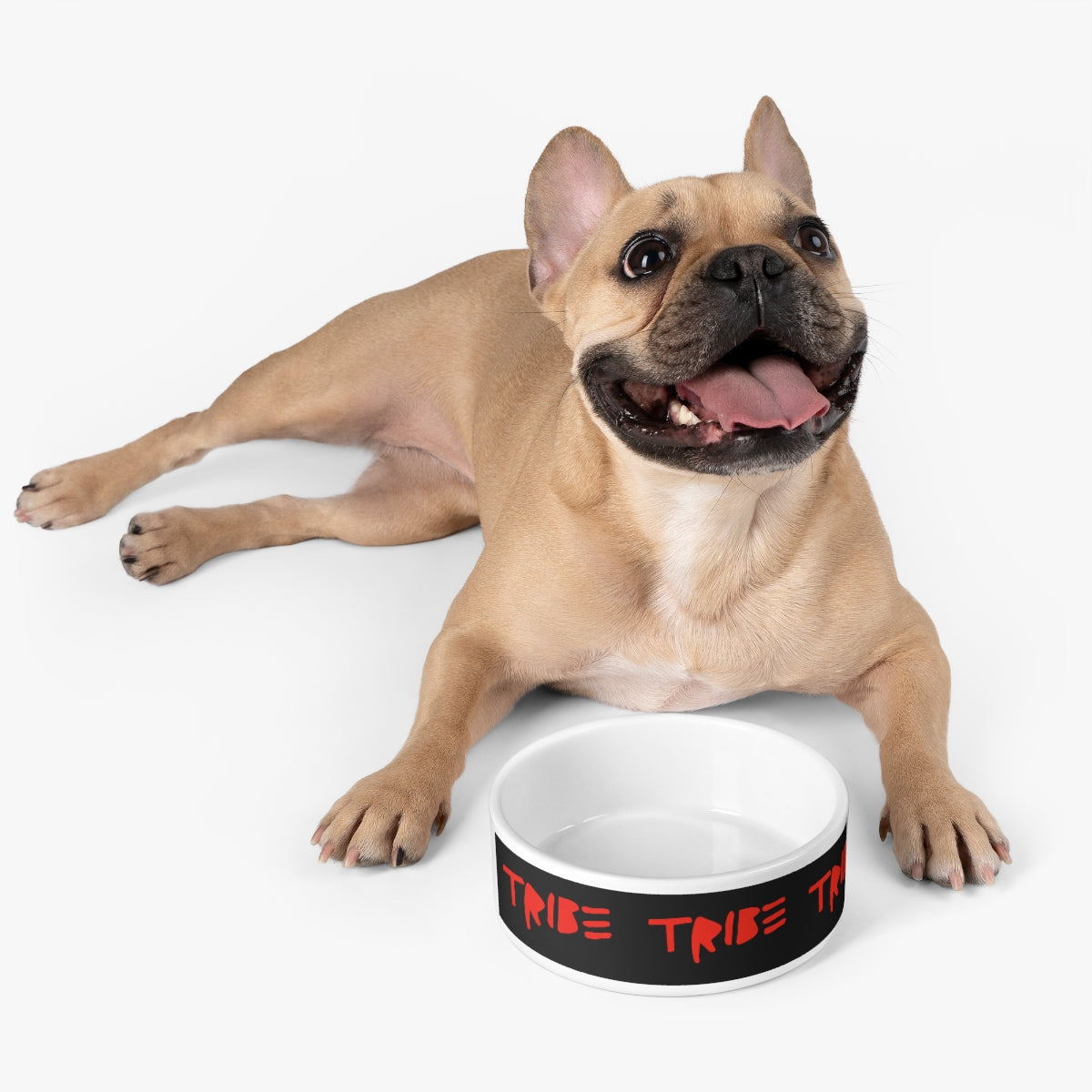 Dynamic TRIBΞ Logo Pet Bowl