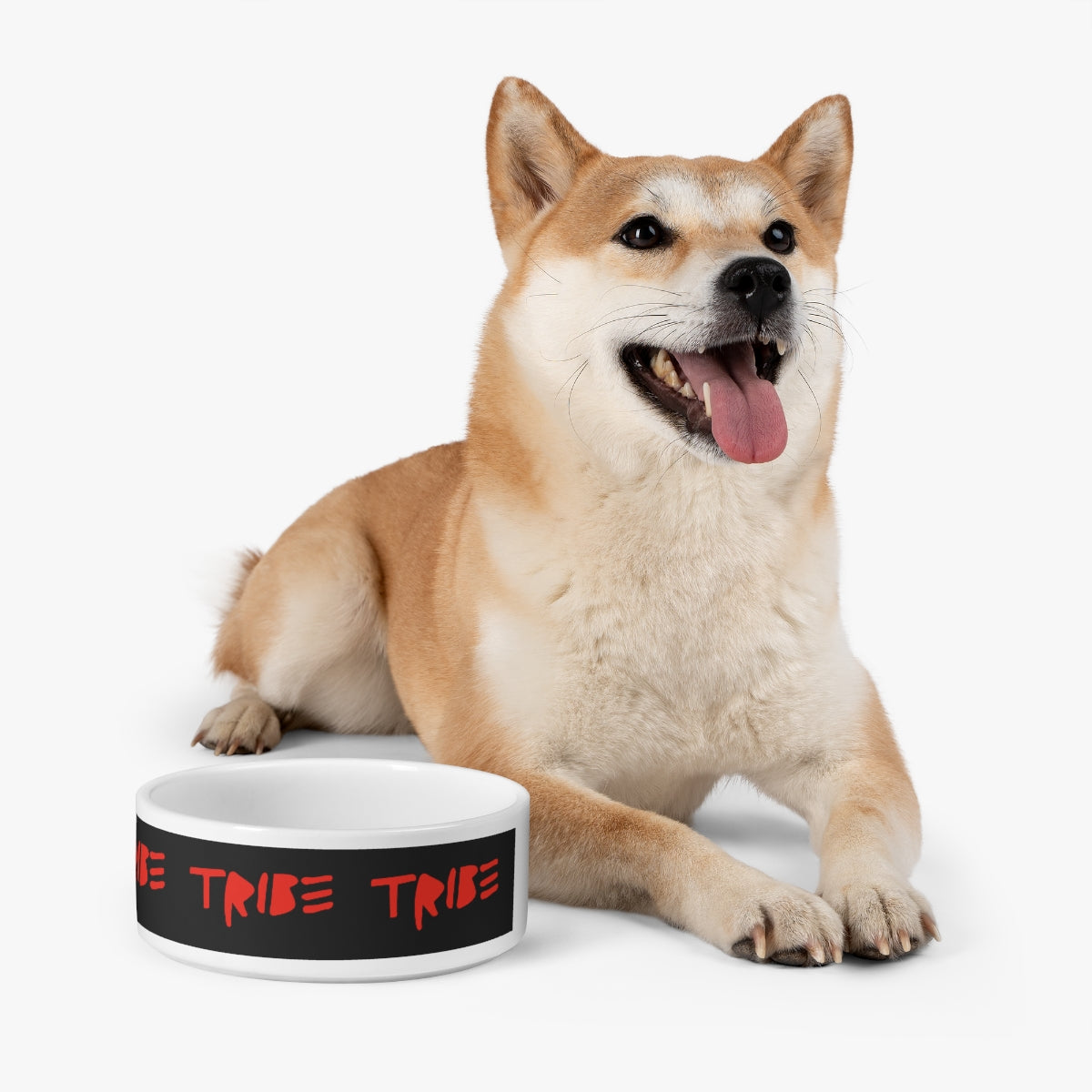 Dynamic TRIBΞ Logo Pet Bowl
