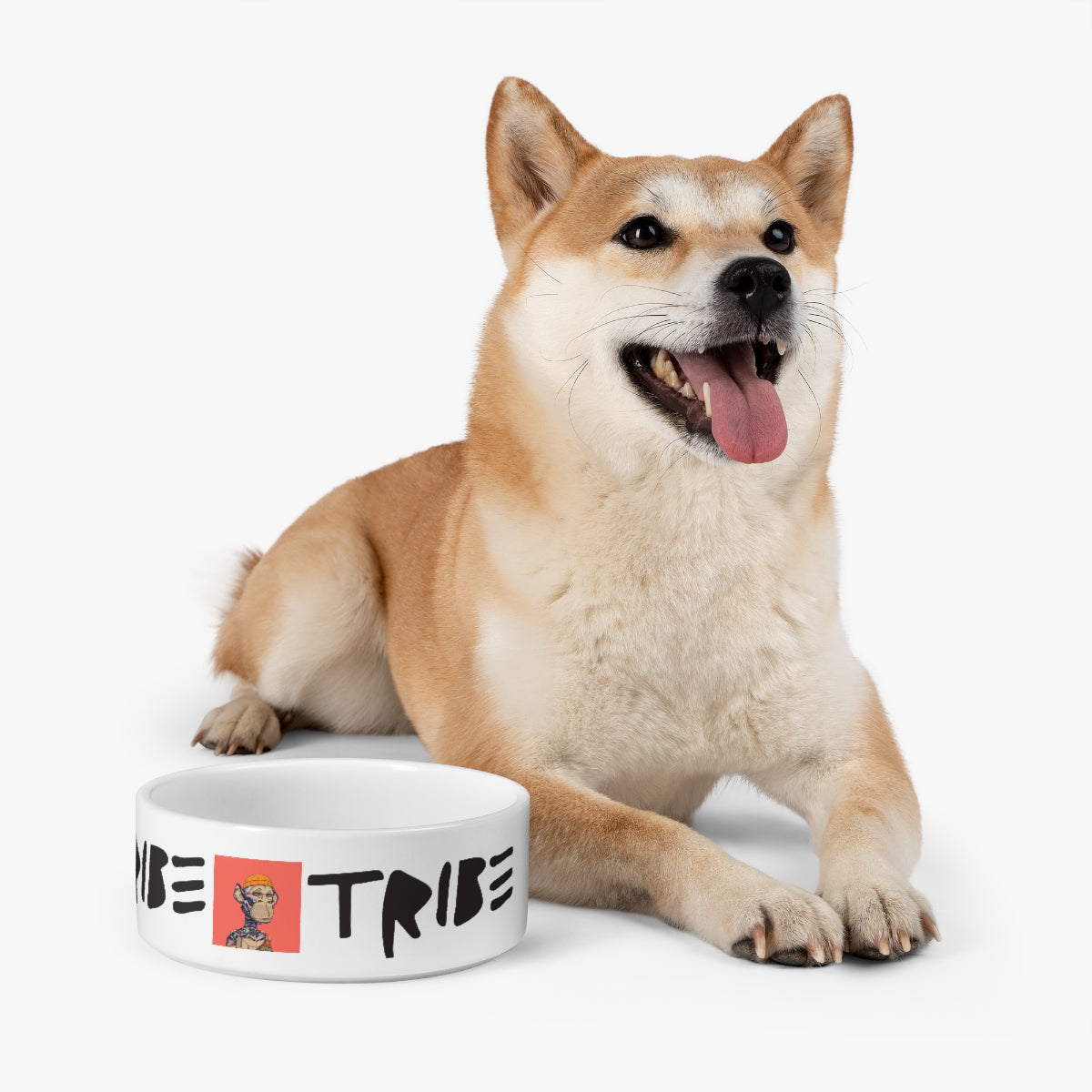 TRIBΞ 1 of 1 Pet Bowl